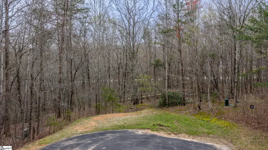 56 Angleblade Road, Landrum, SC 29356-3329 - #2