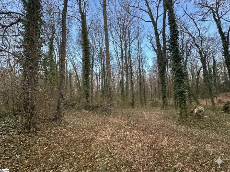 0 Red Berry Lane, Easley, SC 29640 - #3