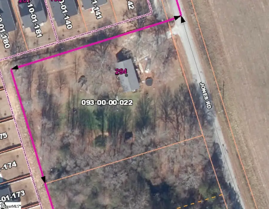 294 Jones Road, Fountain Inn, SC 29644 - #2