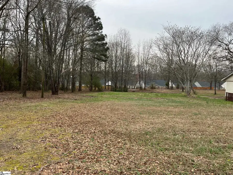 294 Jones Road, Fountain Inn, SC 29644 - #3