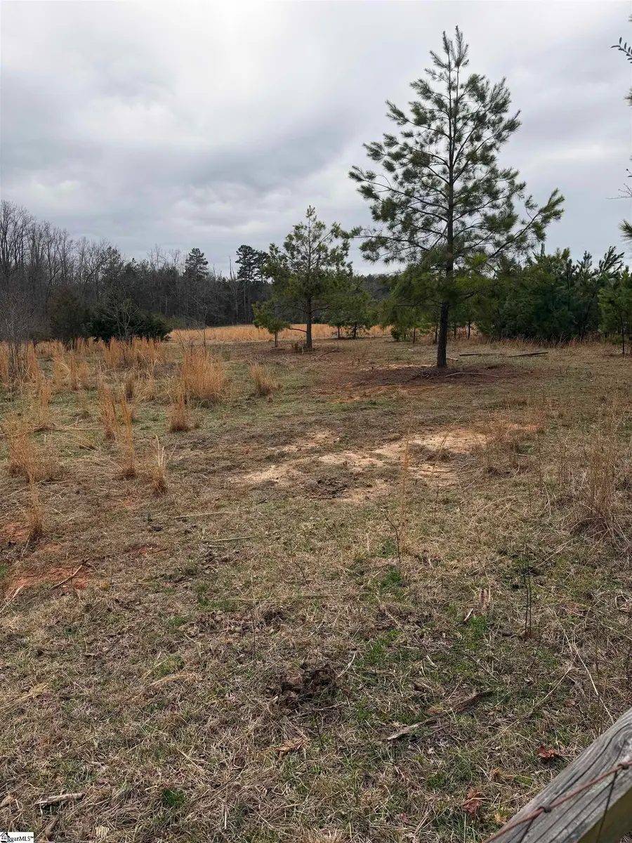 Mount Bethel Road, Pickens, SC 29671 - #2