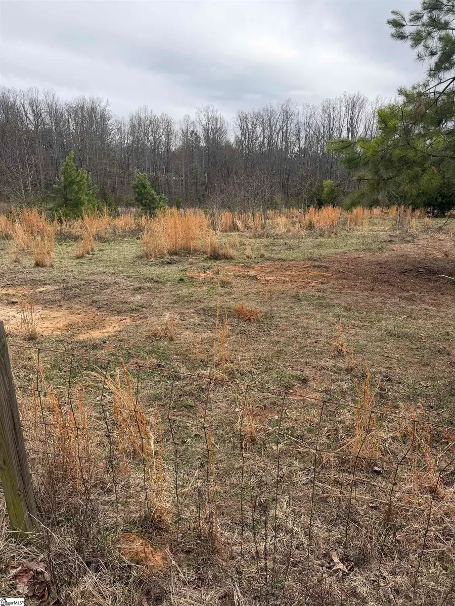 Mount Bethel Road, Pickens, SC 29671 - #3