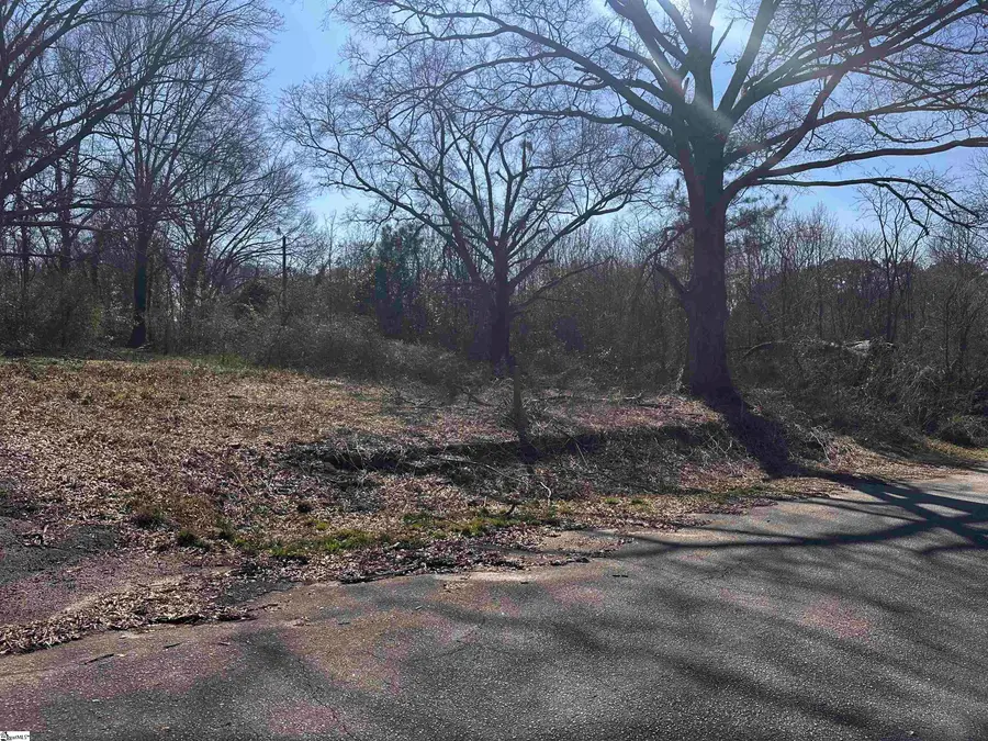 Lot 13 Wenzick Street, Anderson, SC 29625 - #3
