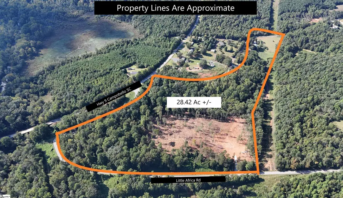 00 Little Africa Road, Campobello, SC 29322 - #1