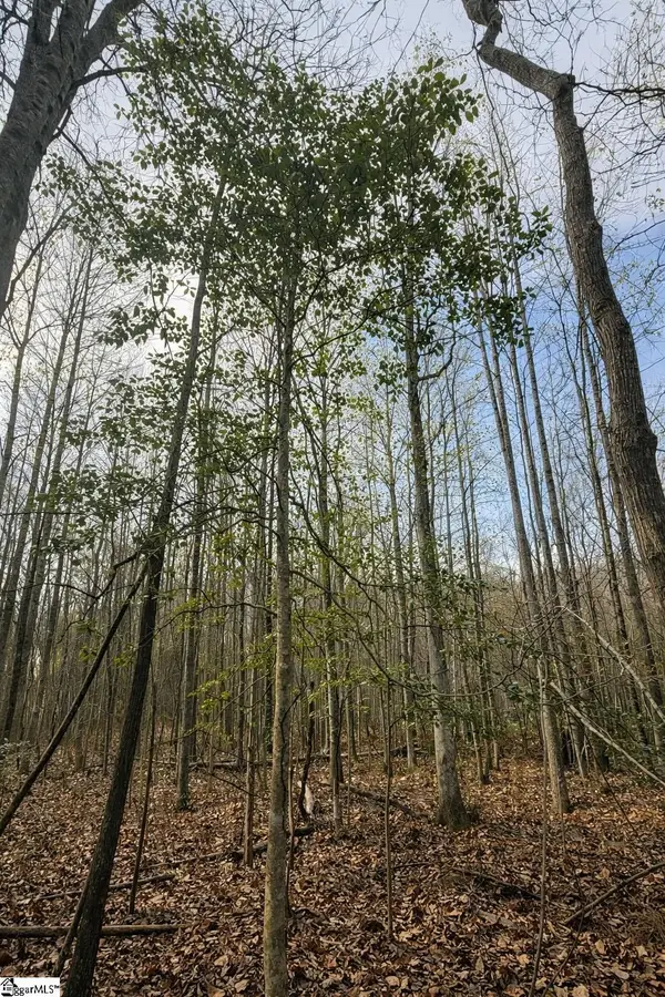 0 Circle Road, Easley, SC 29642