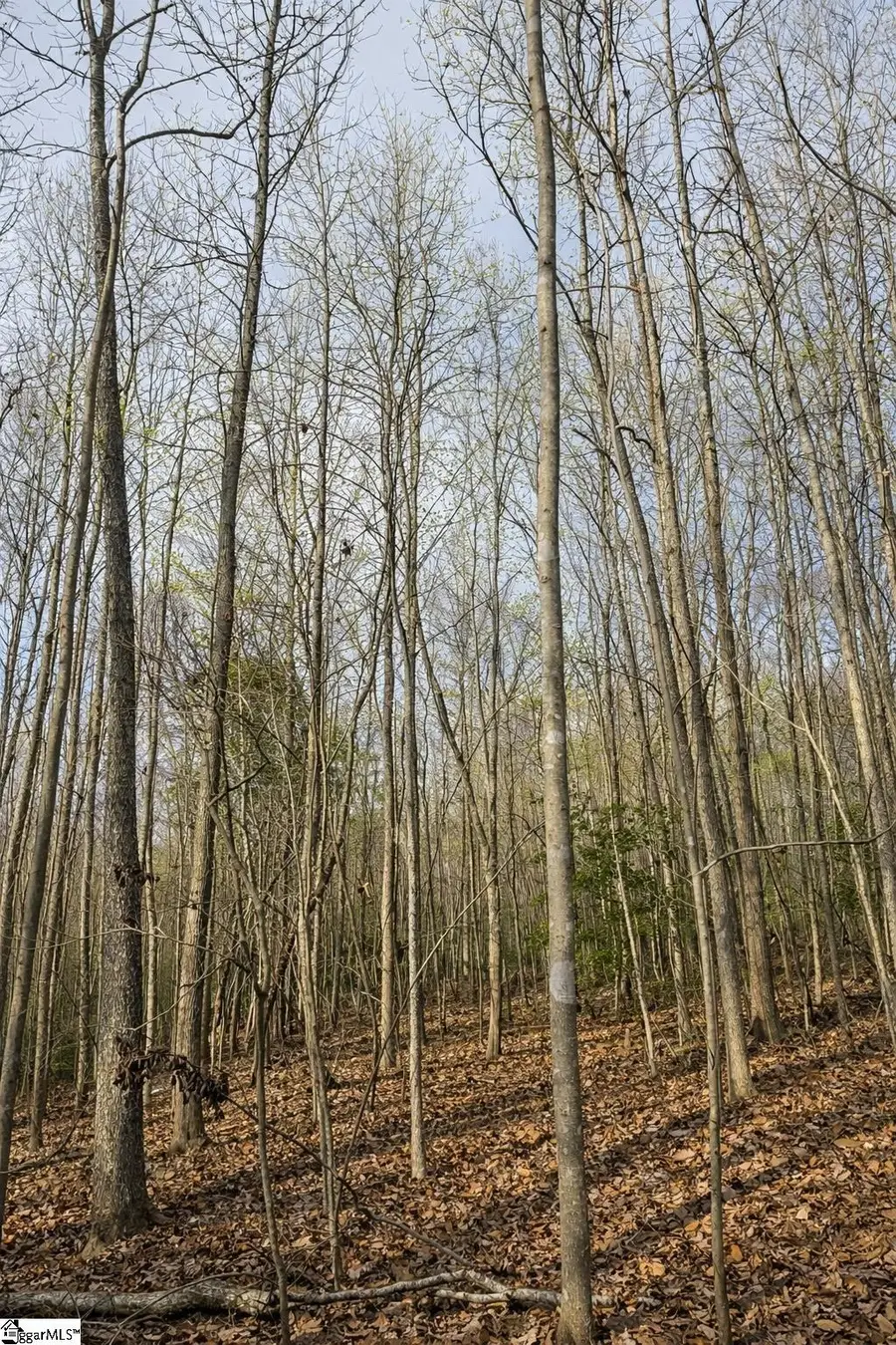 0 Circle Road, Easley, SC 29642 - #3