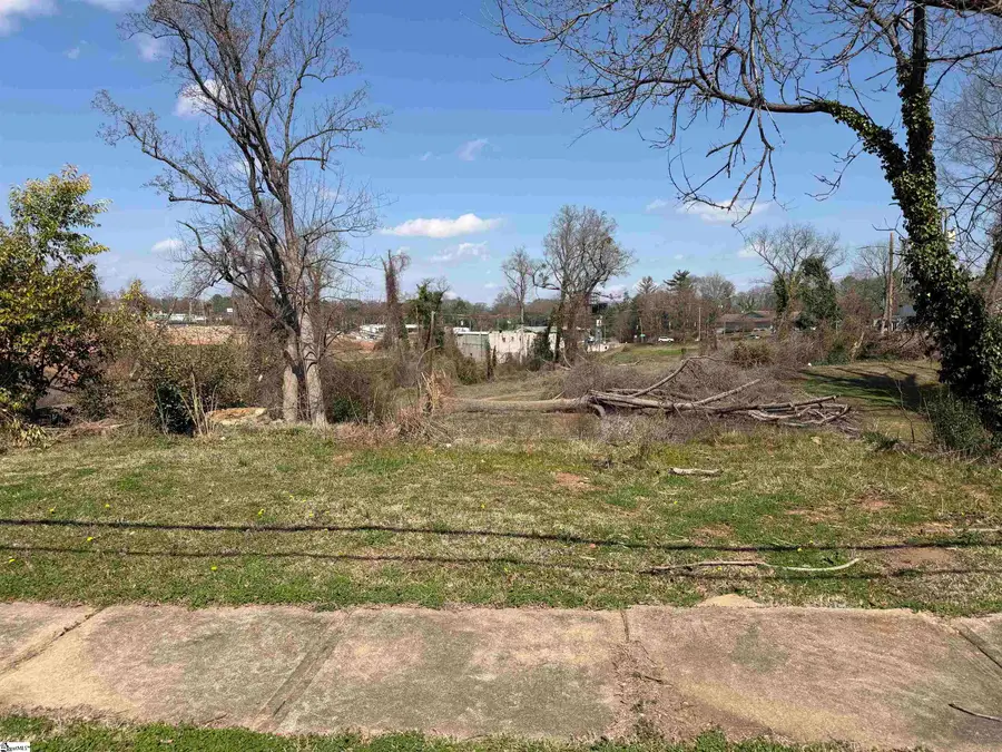 177 West Wood Street, Spartanburg, SC 29303 - #2