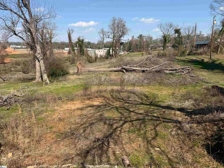 177 West Wood Street, Spartanburg, SC 29303 - #3