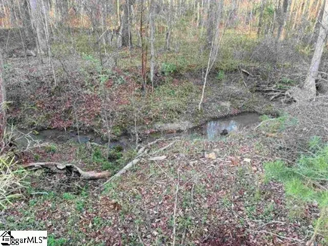 303 Horse Creek Road, Chesnee, SC 29323 - #3