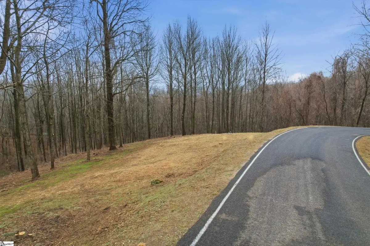 7 Day Lily Road, Landrum, SC 29356 - #1