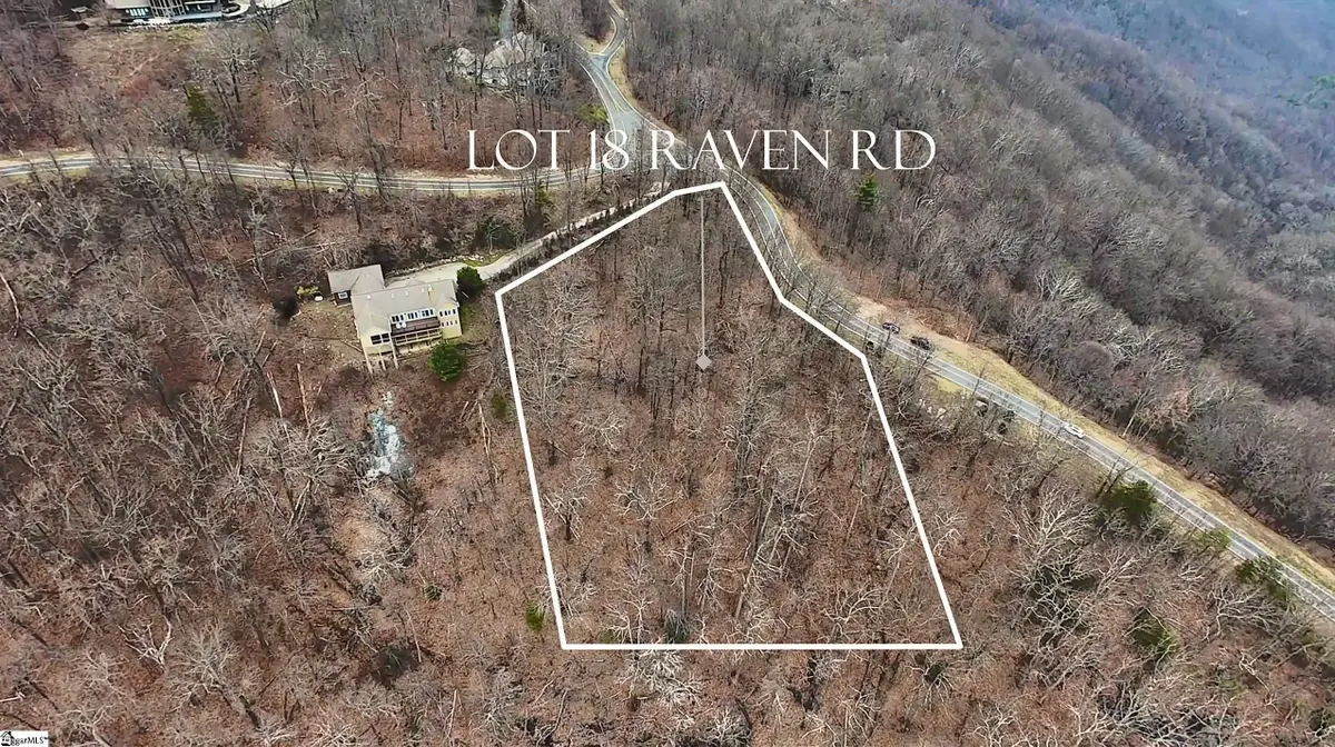 Lot 18 Raven Road, Landrum, SC 29356 - #1