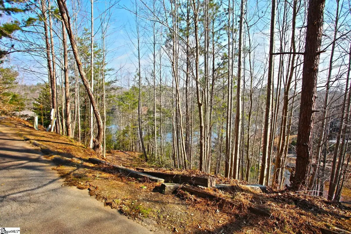 106 Saint Christopher Court, Sunset, SC 29685 - #1