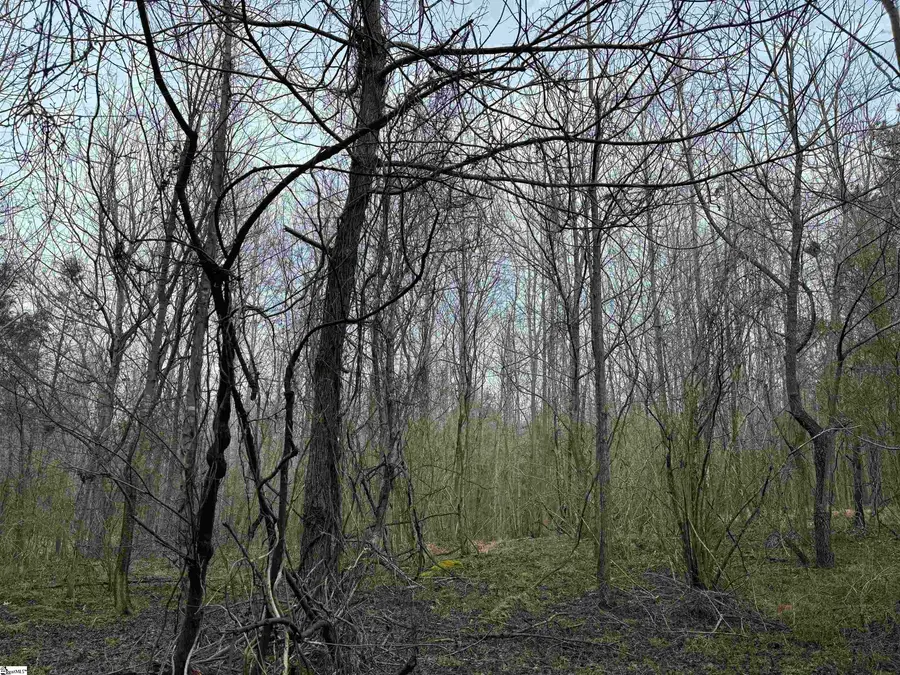 3465 Highway 92, Enoree, SC 29335 - #3