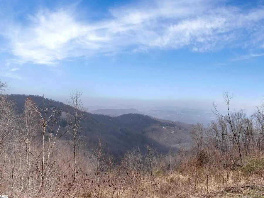 99 The Cliffs Parkway, Landrum, SC 29356 - #3