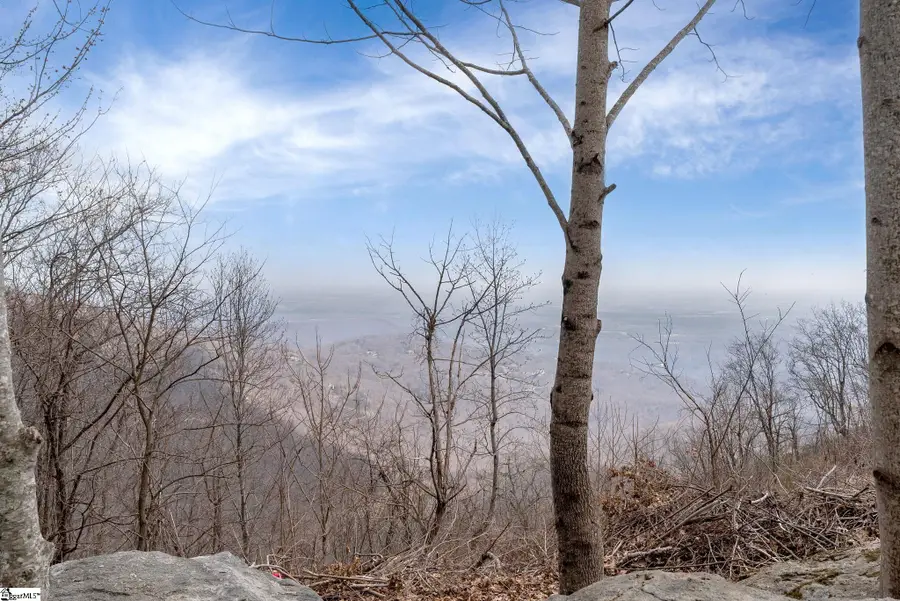 97 The Cliffs Parkway, Landrum, SC 29356 - #3