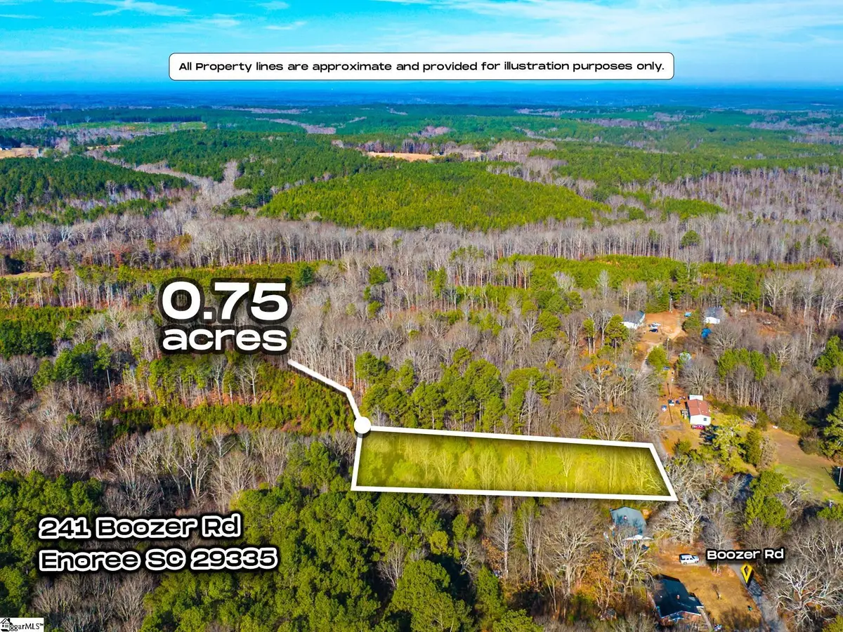 241 Boozer Road, Enoree, SC 29335 - #1