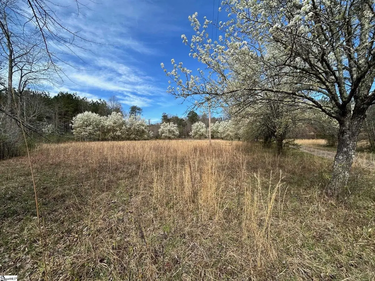 2144 Fox Squirrel Ridge Road, Pickens, SC 29671 - #1