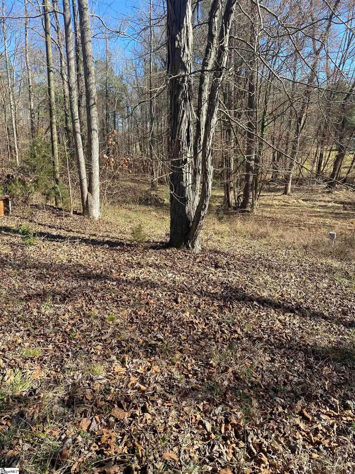 0 Tomachichi Road, Cross Hill, SC 29332 - #1