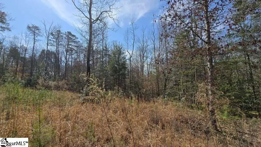 0 Hamilton Road, Marietta, SC 29661 - #1