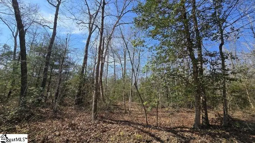 0 Hamilton Road, Marietta, SC 29661 - #2