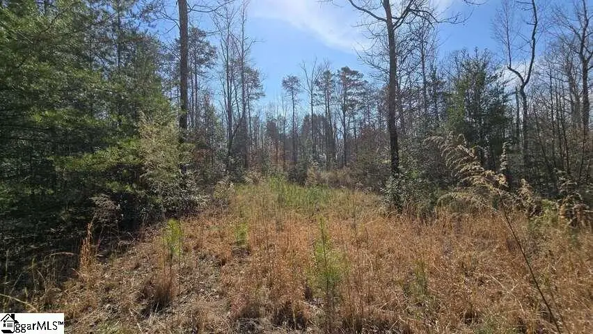 0 Hamilton Road, Marietta, SC 29661 - #3