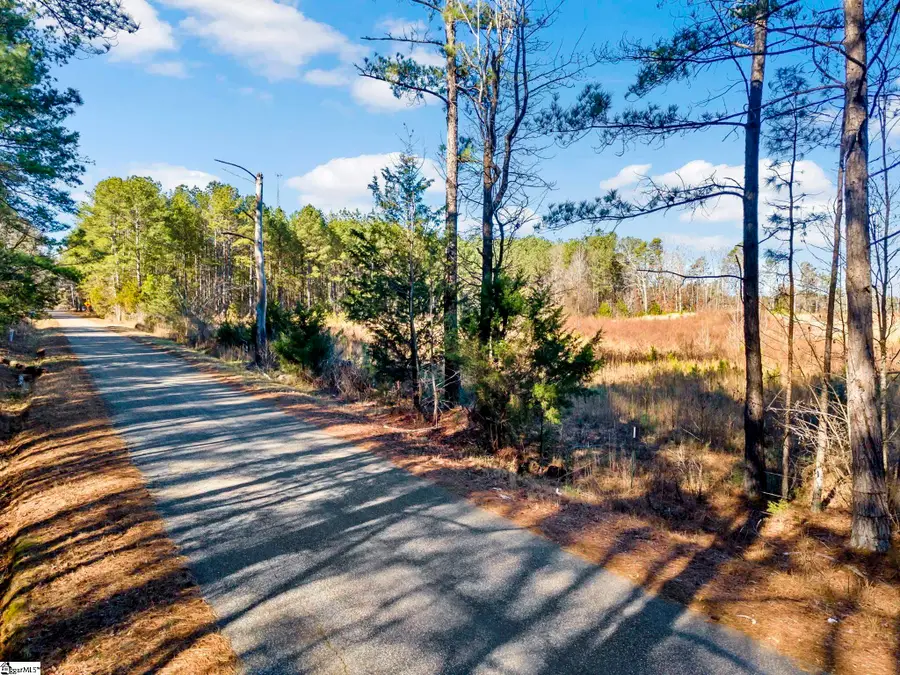 117 Bryson Road, Fountain Inn, SC 29644 - #2