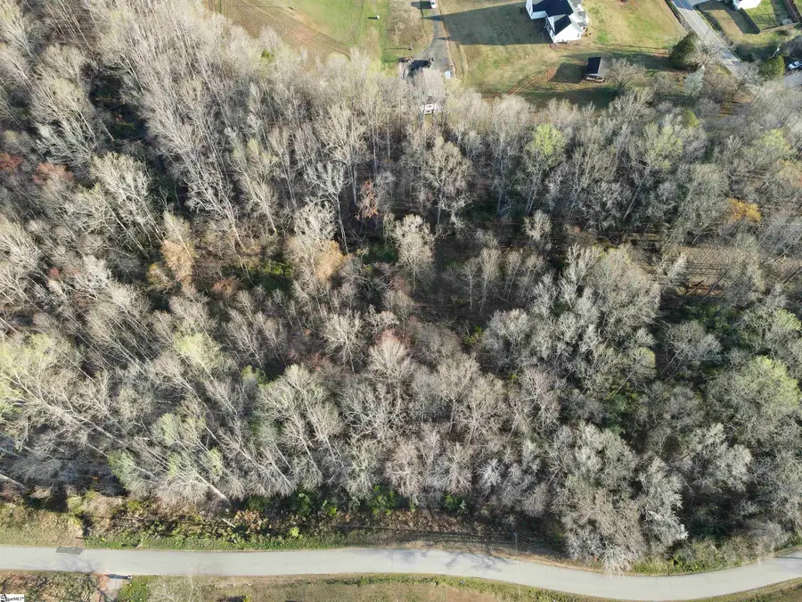 00 Greer Road, Lyman, SC 29365 - #2