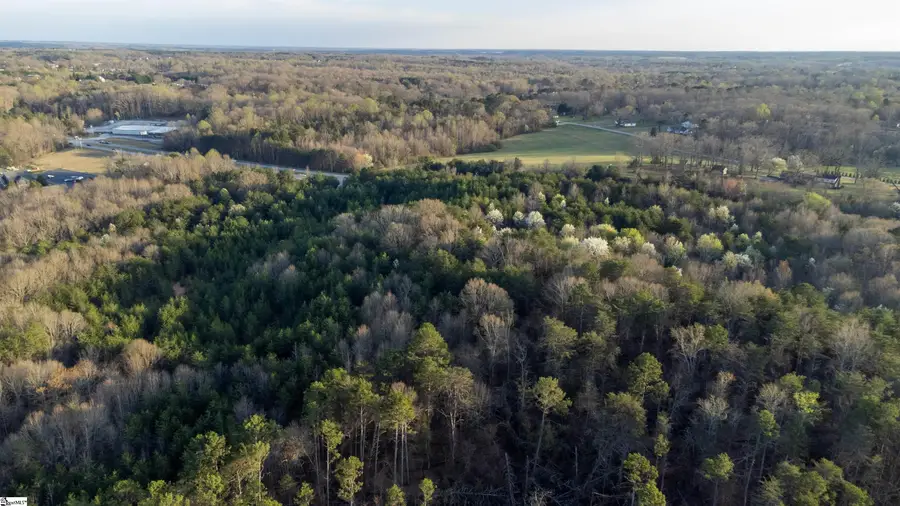 00 Sr 153 Highway, Powdersville, SC 29642 - #2