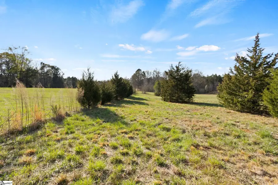 00 Tall Pines Road, Fountain Inn, SC 29644 - #3