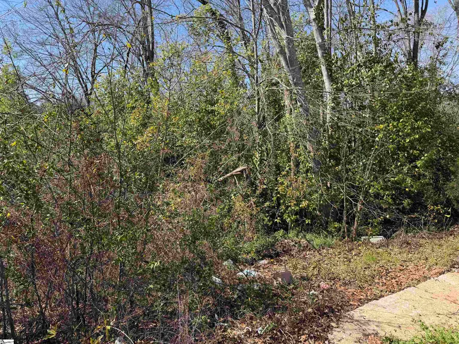 9 Allen Street, Enoree, SC 29355 - #2