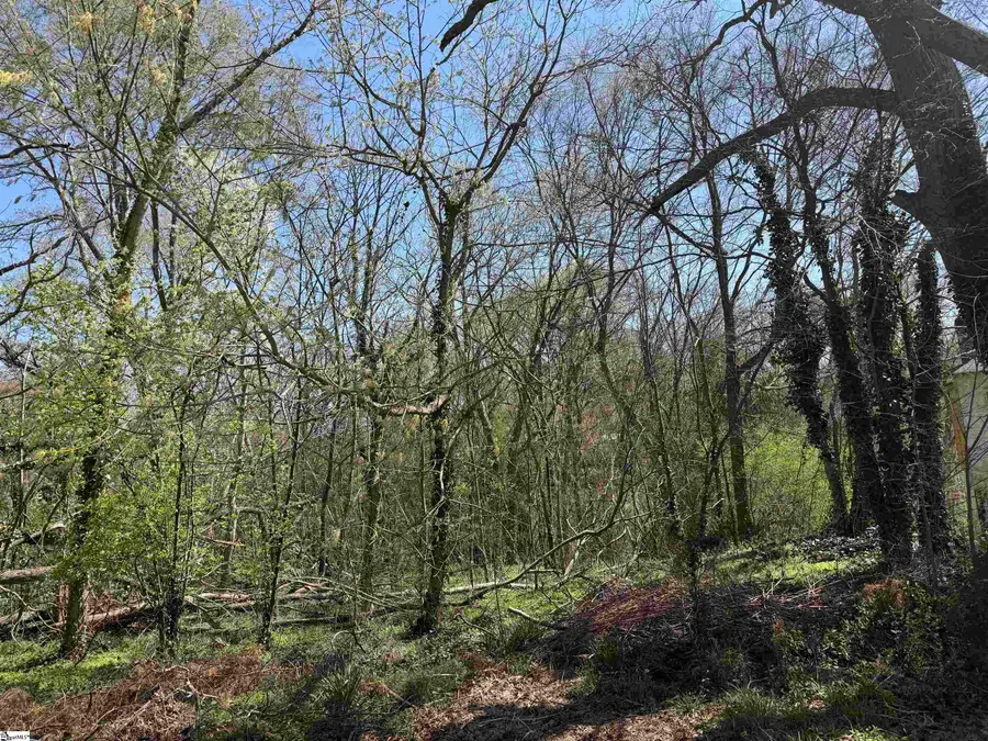 149 Highland Street, Glendale, SC 29346 - #3