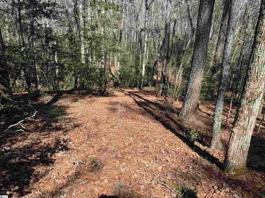 00 Golden Hickory Drive, Anderson, SC 29621 - #2