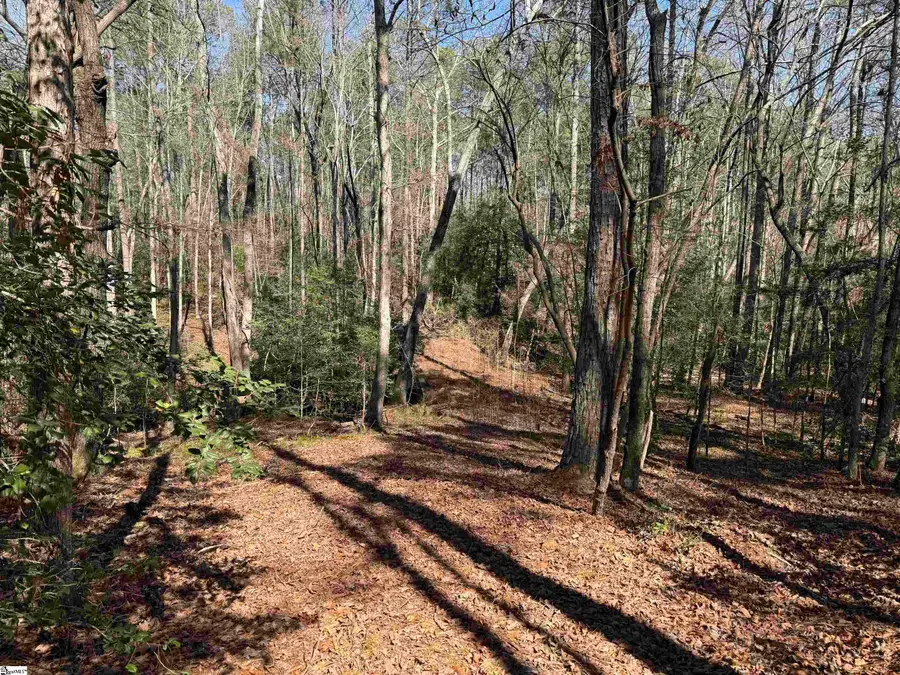 00 Golden Hickory Drive, Anderson, SC 29621 - #3