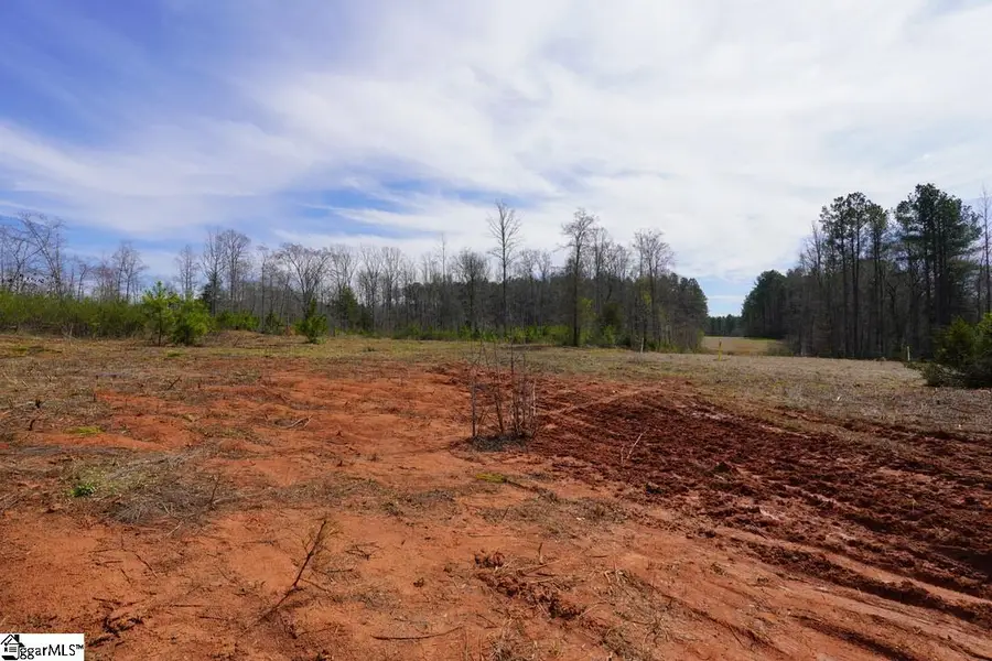 00 Mount Shoals Road, Enoree, SC 29335 - #3