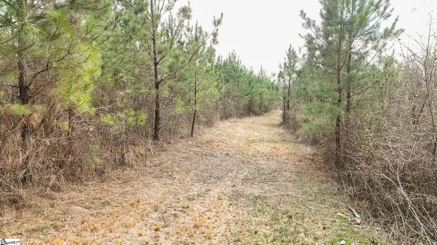 650 Lake Road, Clinton, SC 29325 - #3