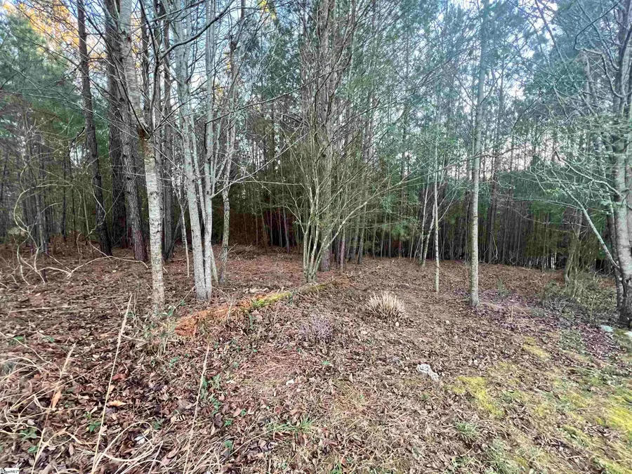 12 Wedge Way, Travelers Rest, SC 29690 - #2