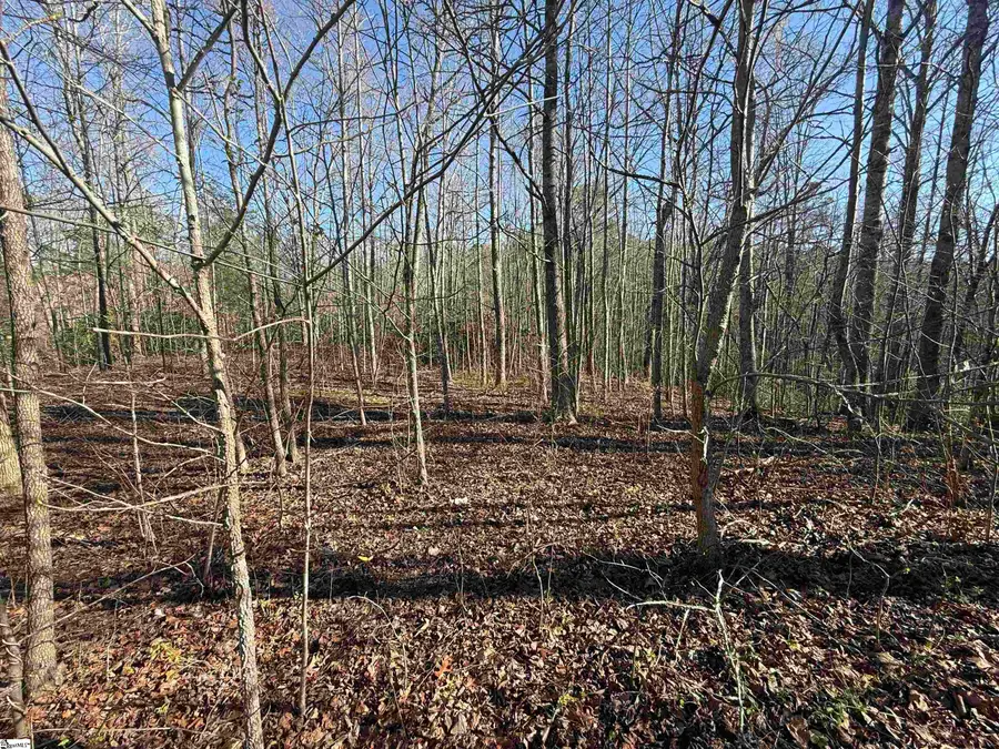 Glen Hollow Road, Travelers Rest, SC 29690 - #2