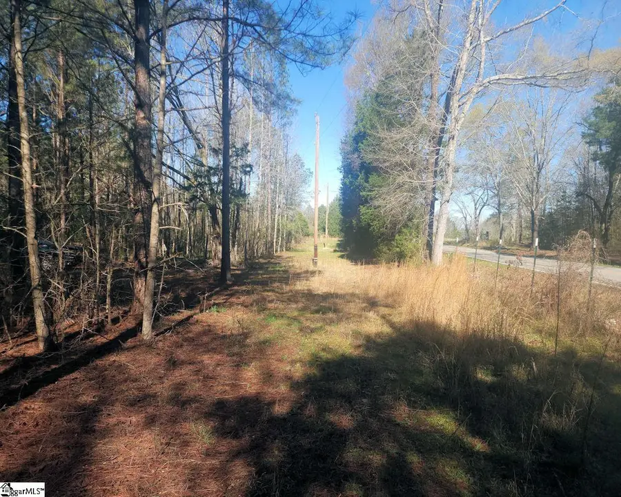 Address Withheld By Seller, Gray Court, SC 29645 - #3