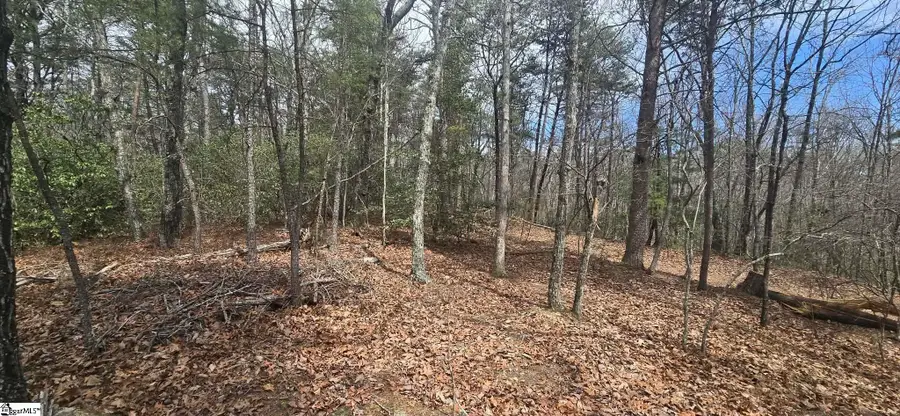 00 Geer Highway, Cleveland, SC 29635 - #2