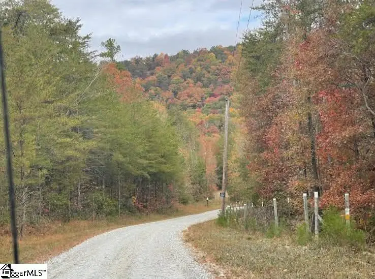 00 Geer Highway, Cleveland, SC 29635 - #3