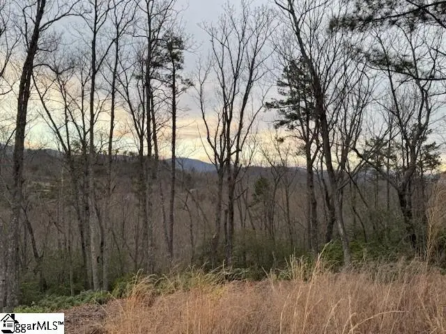 40 Secret Hollow Trail, Marietta, SC 29661 - #1