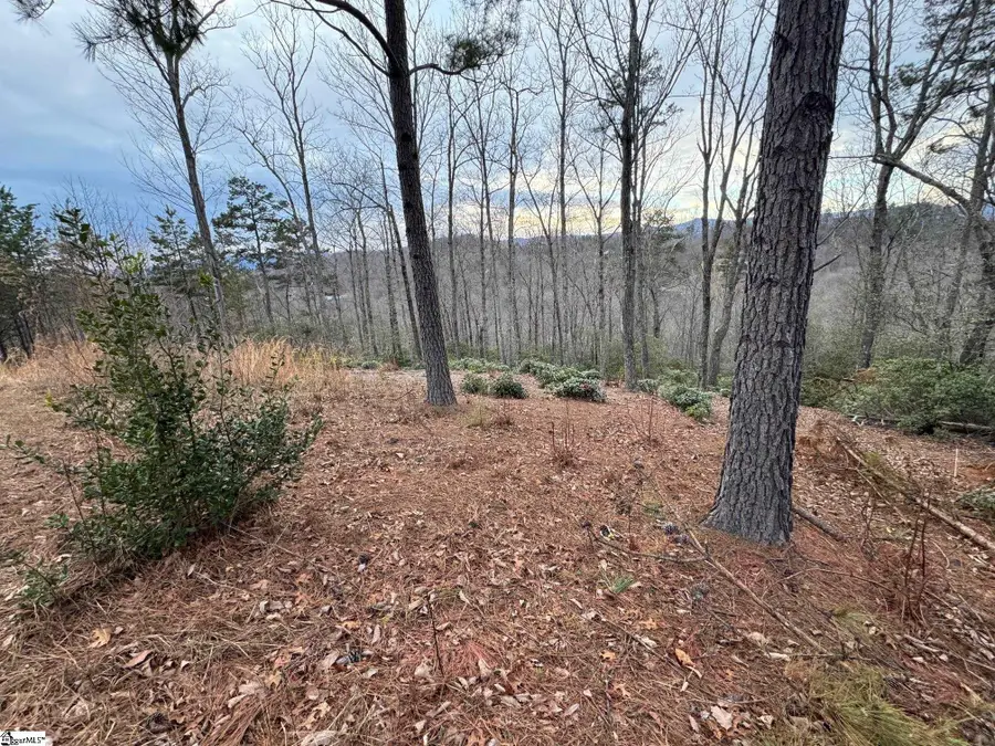 40 Secret Hollow Trail, Marietta, SC 29661 - #2