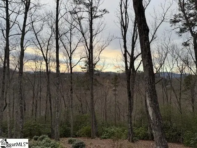 40 Secret Hollow Trail, Marietta, SC 29661 - #3