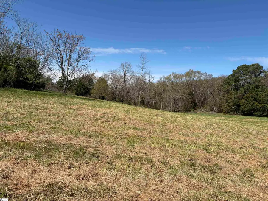 00 Rocky River Ame Church Road, Lake Secession, SC 29622 - #3