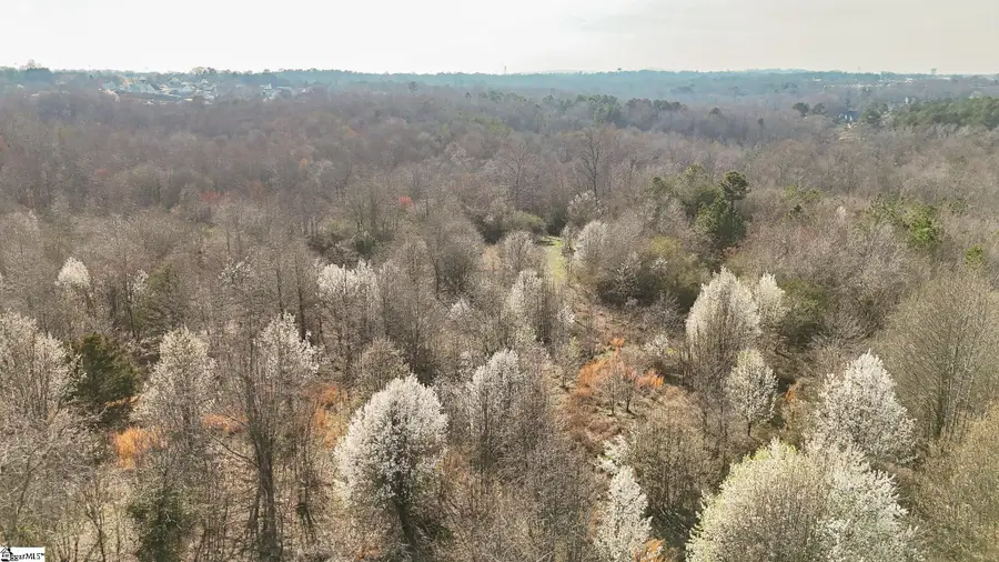 647 Blackwell Road, Greer, SC 29651 - #3