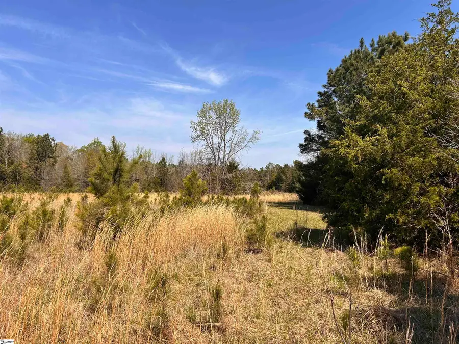 00 Owens Drive, Laurens, SC 29360 - #3