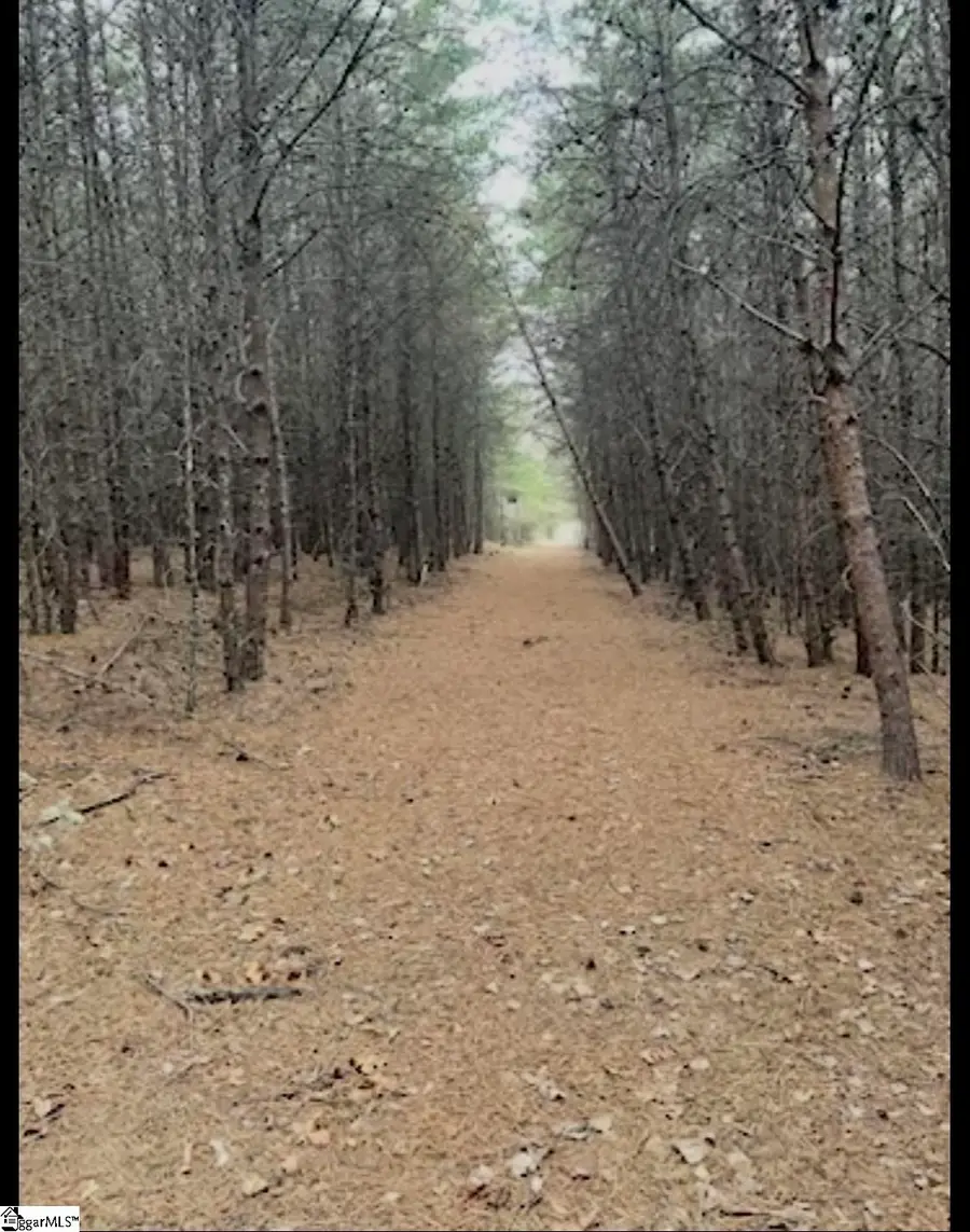 189 Farmers Hill Road, Liberty, SC 29657 - #3