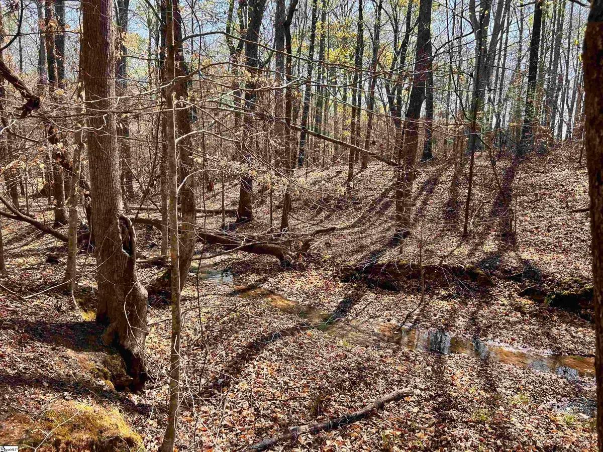 00 Bramlett Road, Laurens, SC 29360 - #1