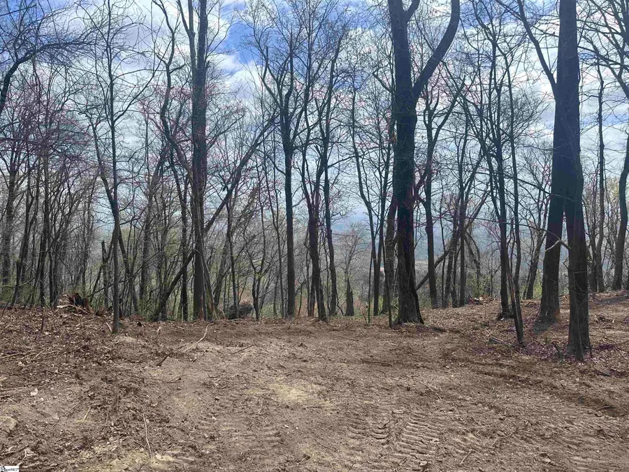 00 Flintrock Knob Lane, Landrum, SC 29356 - #3