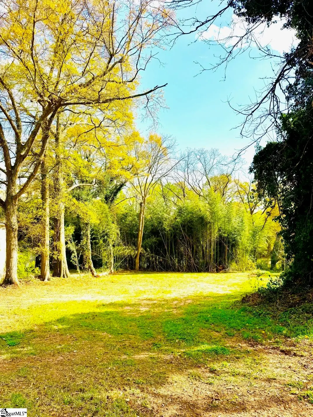 110 Wakefield Street, Greenville, SC 29601 - #1